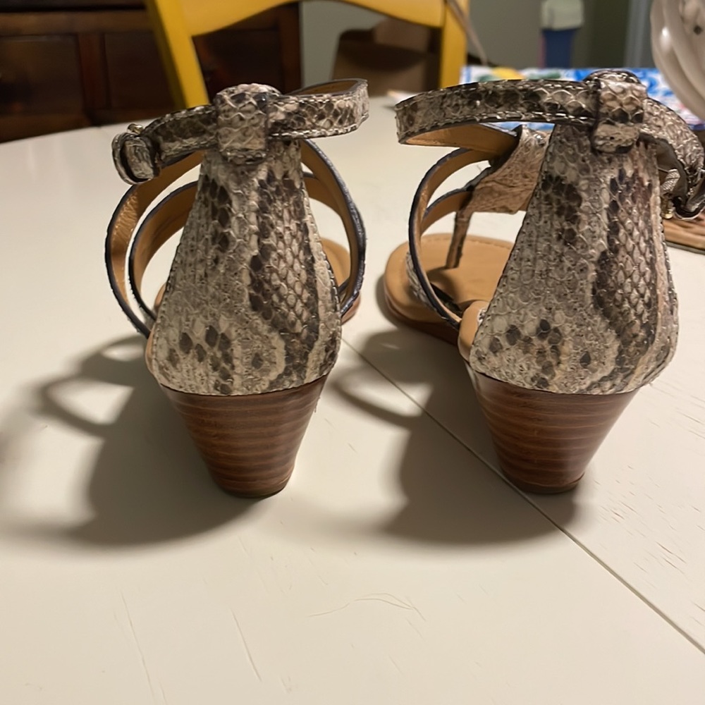 Coach Printed Python Vicky Sandals Size 7 Worn On… - image 3